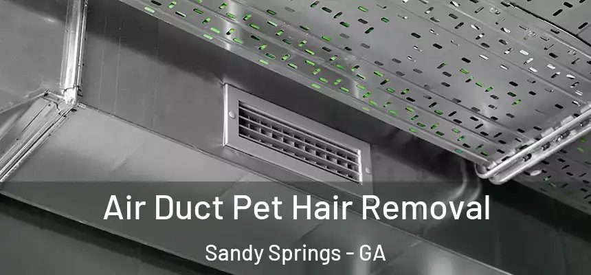  Air Duct Pet Hair Removal Sandy Springs - GA
