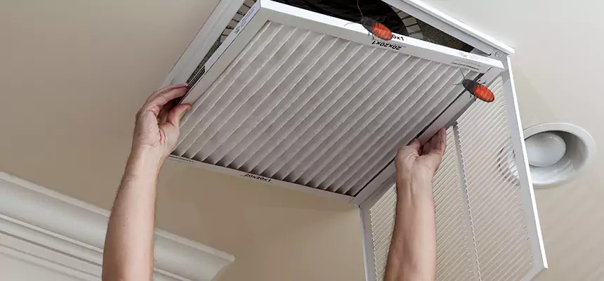 Preventive Cockroach-Proofing for Ducts in Sandy Springs