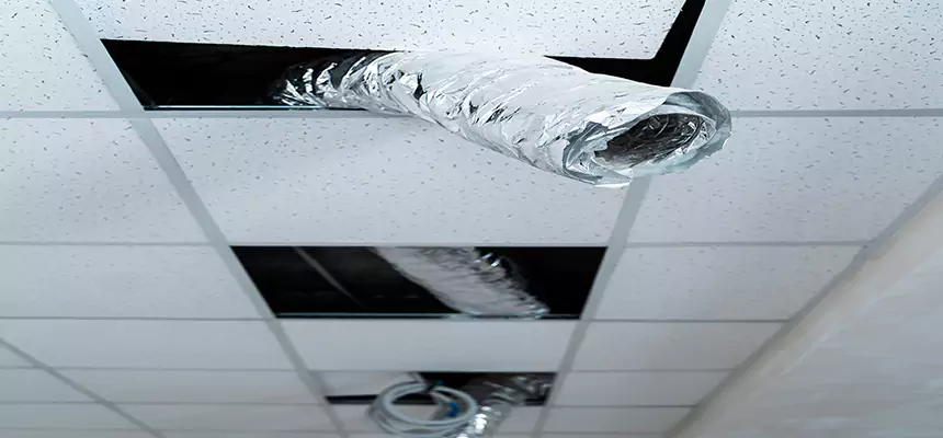 Our Air Duct Pet Hair Removal Services in Sandy Springs, GA