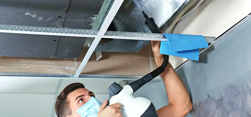 Our Air Duct Rodent Removal Services in Sandy Springs, GA
