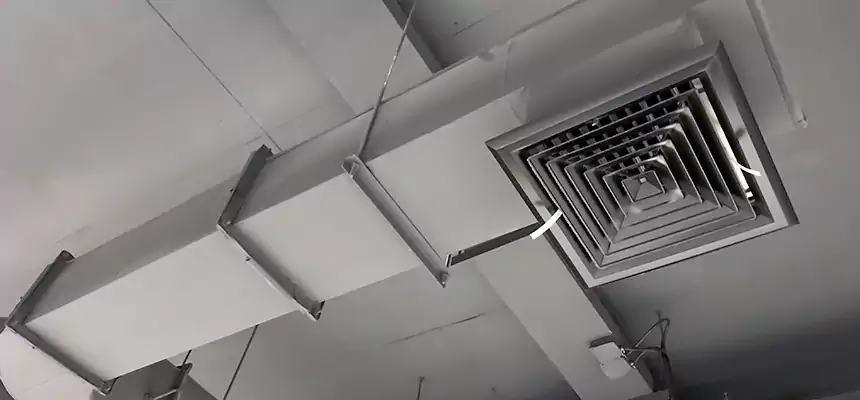 Our Pest Removal From Ducts Services in Sandy Springs, GA