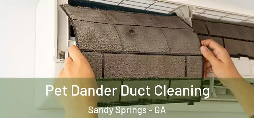  Pet Dander Duct Cleaning Sandy Springs - GA