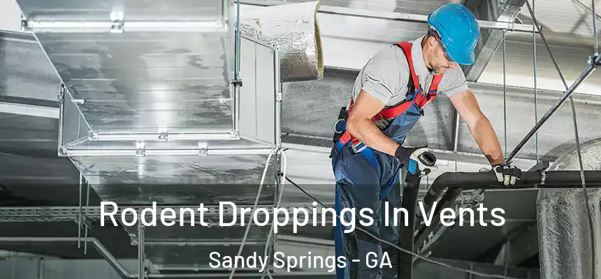  Rodent Droppings In Vents Sandy Springs - GA
