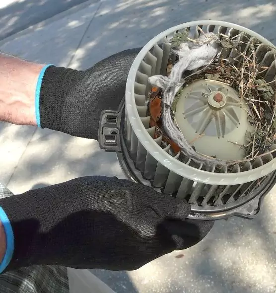 About Air Duct Rat Removal in Sandy Springs, GA