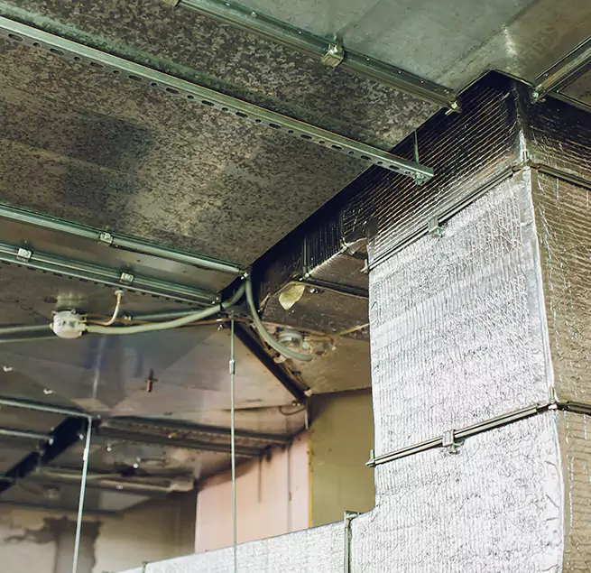 Why Homeowners & Businesses Trust Us in Sandy Springs, GA?